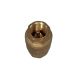 Boiler - Nrv(Brass)- 1/2